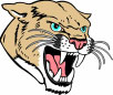 logo-panther